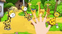 Finger Family Giraffe | ChuChu TV Animal Finger Family Nursery Rhymes Songs For Children