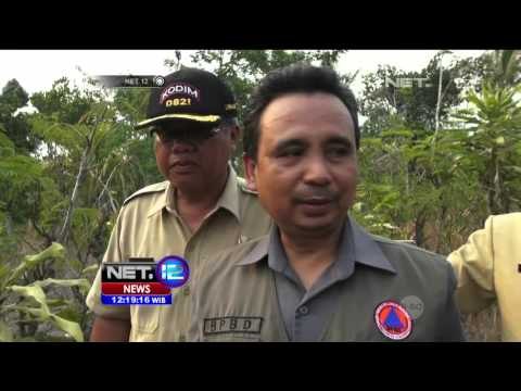 Kebakaran Hutan Gunung Semeru Semakin Meluas - NET 12