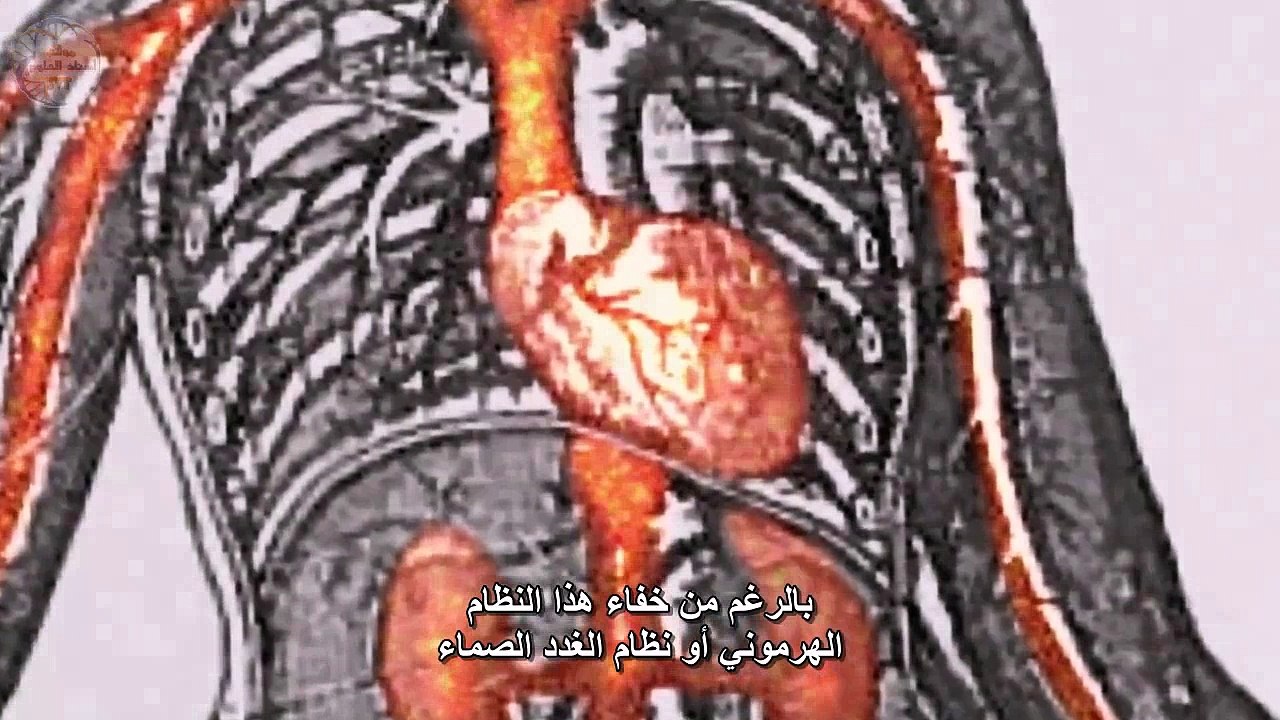 اكتشاف الهرمونات