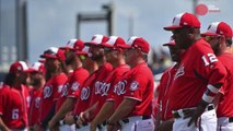 Spring training story lines to watch