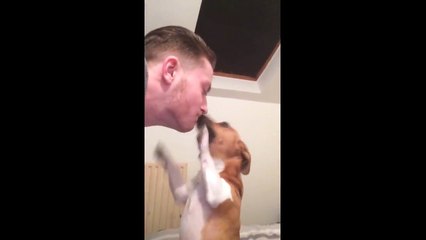 Ce chien est vraiment très jaloux !