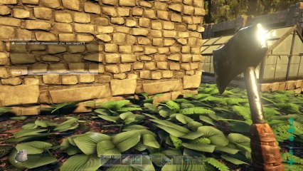 ARK EVOLVE PS4 LIVE (98)