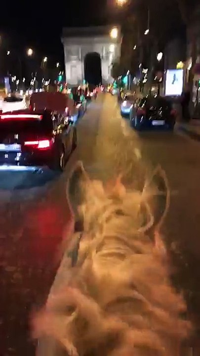 CHEVAL SUR LES CHAMPS A LA SCH