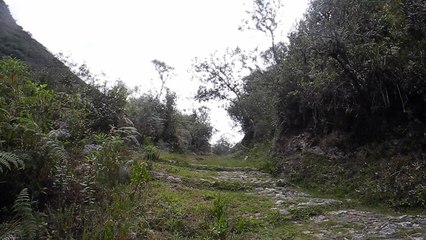 Bolivie El Treck del Choro 3