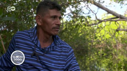 Panamá: niños protectores de manglares | Global 3000