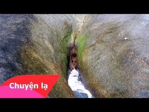 Chuyện lạ Việt Nam - Những hình ảnh nhạy cảm của thiên nhiên!!!