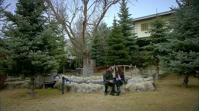 BA 1130 - Video Dailymotion