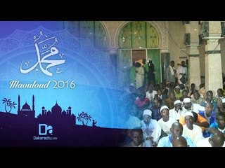Gamou 2016 : Tivaouane dans l'ambiance des préparatifs