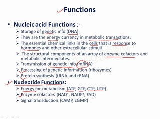Nucleotides and Nucleic acid