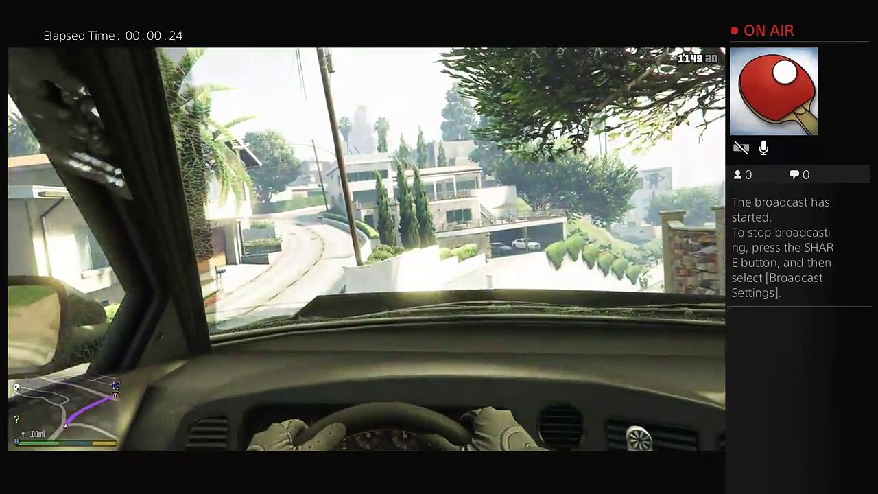Gta 5 with sister (64)