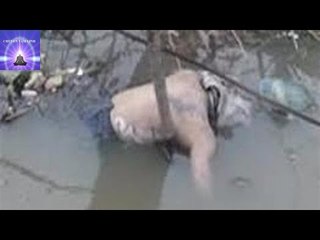 Chuyện tâm linh có thật - Ếch đòi mạng