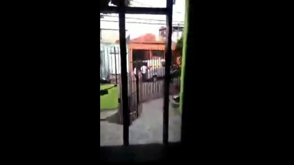 Daniel Churros Caralho: Atualizações Exclusivas 📱