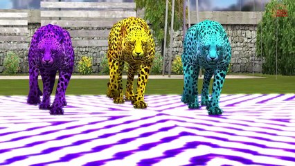 Sheep Color Animation Song For Childrens || English Nursery Rhymes For Baby Nursery Rhymes