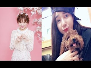 Lấy và yêu hai danh hài nổi tiếng Hari won và Nhã Phương mất nhiều hơn được.
