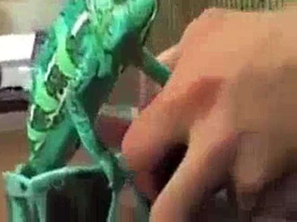 Body Color Change Animal