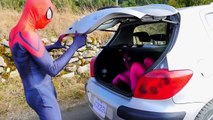 Замороженные Эльза и Анна Вт/ розовый Человек-паук против зомби! Футов Джокер и Человек-Паук супергерой удовольствие в реа