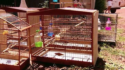 Precio a la vida - ¡Ahora en alta calidad! (Parte 3/5)