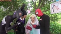 Человек-паук против Венома и Эльза Супергерои Бэтмен Д