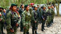 Colombia's FARC rebels begin disarming under peace deal