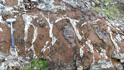 Fossils show life on Earth four billion years ago