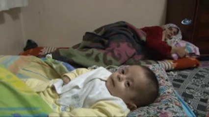 Suriyeli Ailenin Erdoğan Sevgisi, Üçüz Bebeklerine İsim Oldu