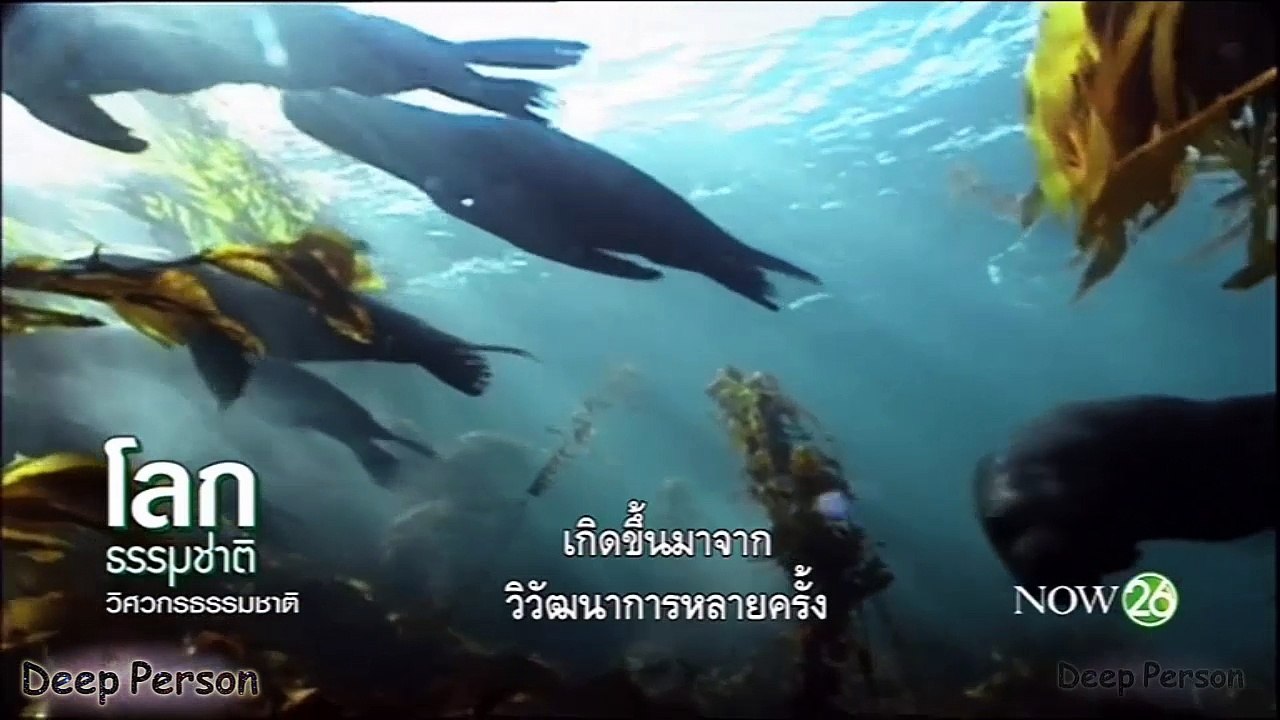 สารคดี วิศวกรธรรมชาติ ตอน เวทมนต์แห่งการเคลื่อนไหว