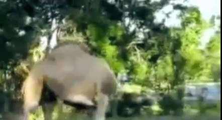 А чё, прикольно №18