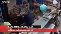 Sakar hırsız kamerada