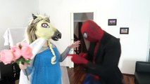 FROZEN ELSA EVIL WEDDING vs SPIDERMAN vs EVIL QUEEN MALEFICENT Superhero Fun Real Life Com