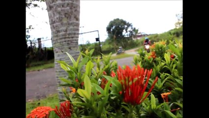 Drama Siswa SMA Panca Setya Sintang - Hantu Rumah Sakit Agape (2017)