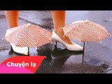 Chuyện lạ Việt Nam - Những đôi giày kỳ lạ nhất thế giới