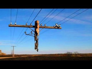 Chuyện lạ Việt Nam - Top 10 hình ảnh "không phải dạng vừa đâu"