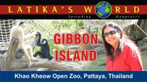 GIBBON ISLAND, KHAO KHEOW OPEN ZOO, PATTAYA, THAILAND, LATIKAS WORLD