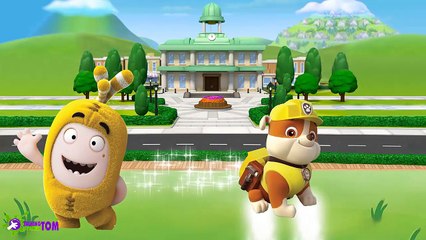 Paw Patrol Transforms Into Oddbods - Oddbods Finger Family Nursery Rhymes