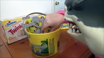 Feeding Pet Sharks Banana Twinkies Shark vs Minion 'Toy Freaks'-psiOVJ-6nMQ