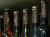 Raimat clasifica sus vinos por intensidad para ayudar a elegirlos