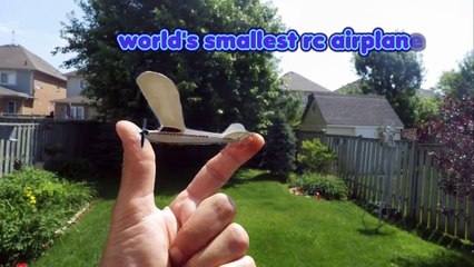Worlds Smallest RC Airplane