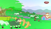 Baa Baa Black Sheep and Many More Kids Songs | Popular Nursery Rhymes Collection by ChuChu