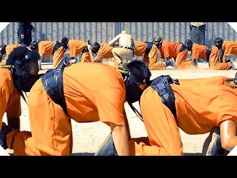 THE HUMAN CENTIPEDE 3 (Horreur, Torture) - Bande Annonce / FilmsActu