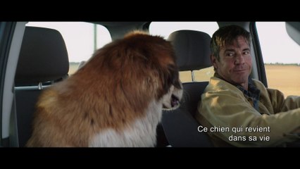 MES VIES DE CHIENS - Making of - Stars à 4 pattes - VOST