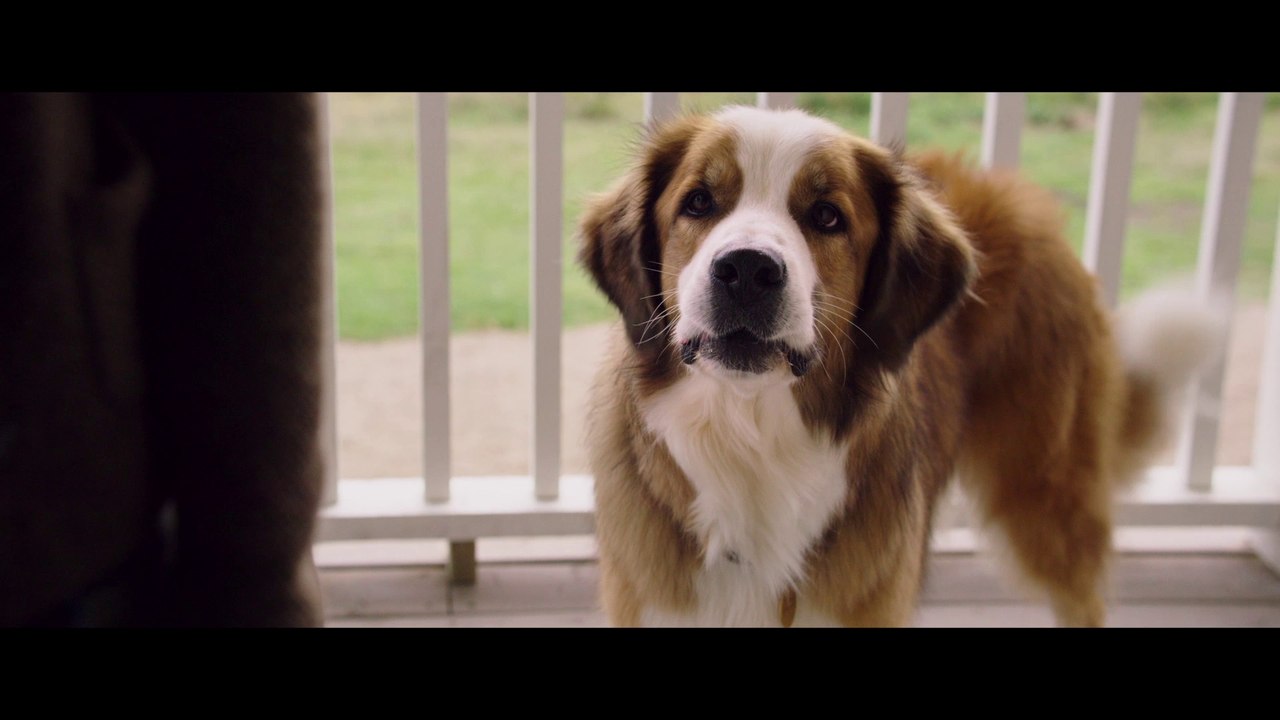 MES VIES DE CHIENS - Making of - Le meilleur ami de l'homme - VOST