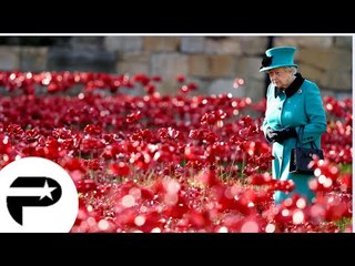 Elizabeth II 'impressionnée' par la mer de coquelicots