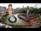 Sự thật về cặp rắn lạ hiện hồn hai cháu bé chết đuối!   [Chuyện lạ Việt Nam]