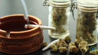 Increase of Older Americans Engaging in Marijuana Use