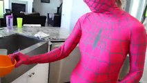 Pink Spidergirl Pregnant MORNING ROUTINE GODZILLA VS Batman VS Joker VS Werewolf VS Venom
