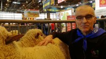 Le mouton vendéen au Salon de l'agriculture