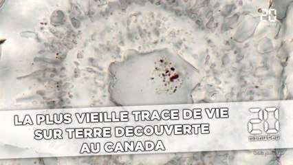 La plus vieille trace de vie sur Terre découverte au Canada