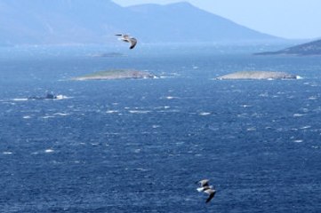 Türk Savaş Gemisini Gören Yunan Savaş Gemisi Kaçtı