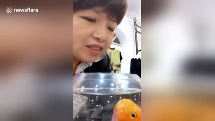 Fish 'kisses' owner