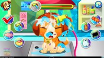 Animal Doctor Care. Pets Need Your Help: Puppy, Kitten And Baby Monkey. Game App For Kids.